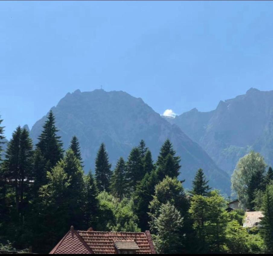 Pensiunea Sport Buşteni Esterno foto