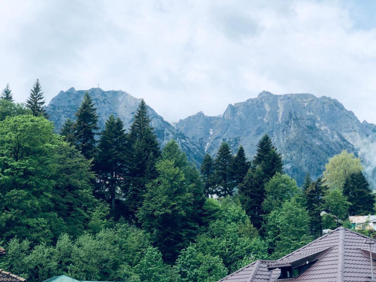 Pensiunea Sport Buşteni Esterno foto